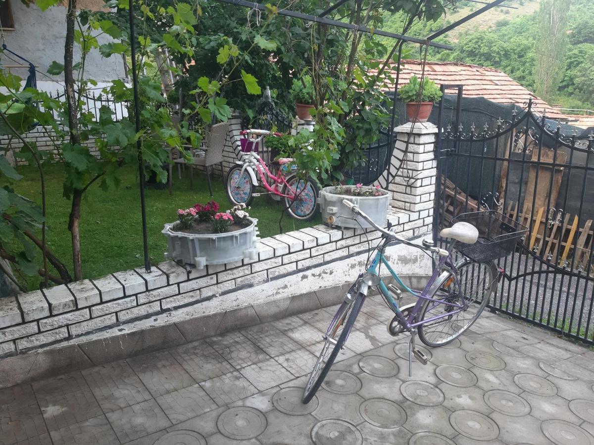 Vila Mir Pirot Exterior photo