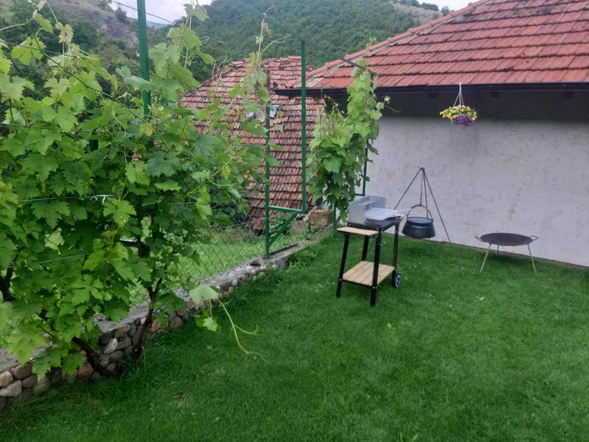 Vila Mir Pirot Exterior photo