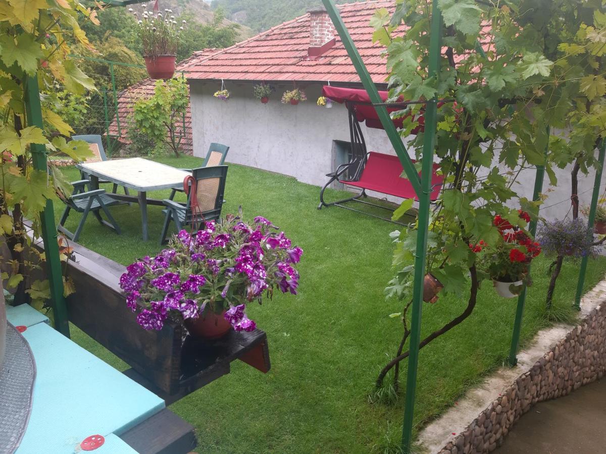 Vila Mir Pirot Exterior photo