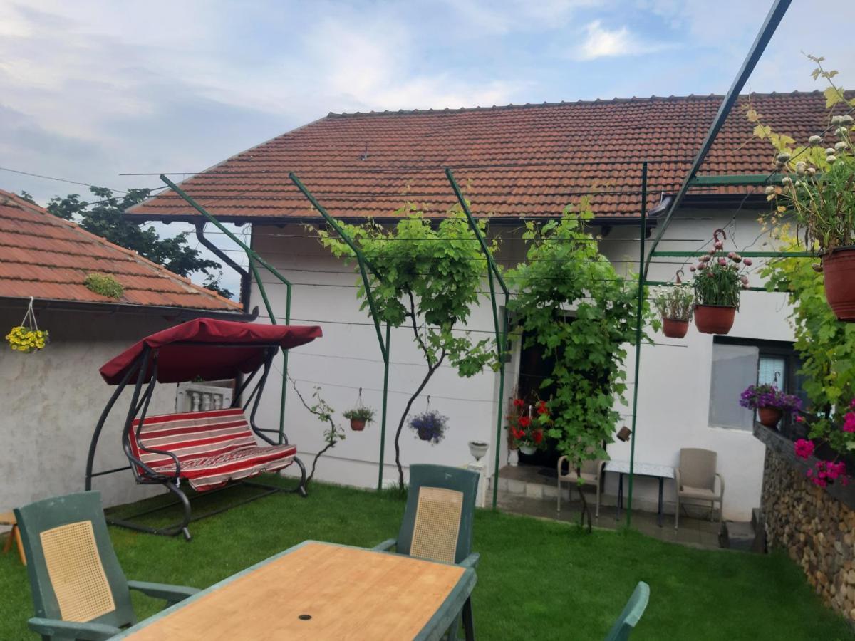 Vila Mir Pirot Exterior photo
